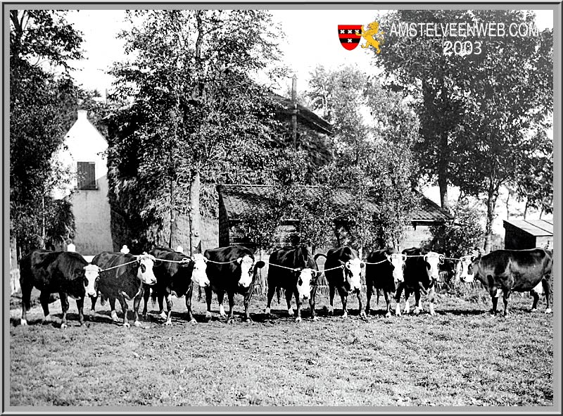 Boerderij Oud MijlAmsteldijk Zuid