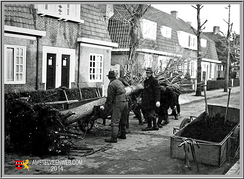 Katerstraat enhaar bomen