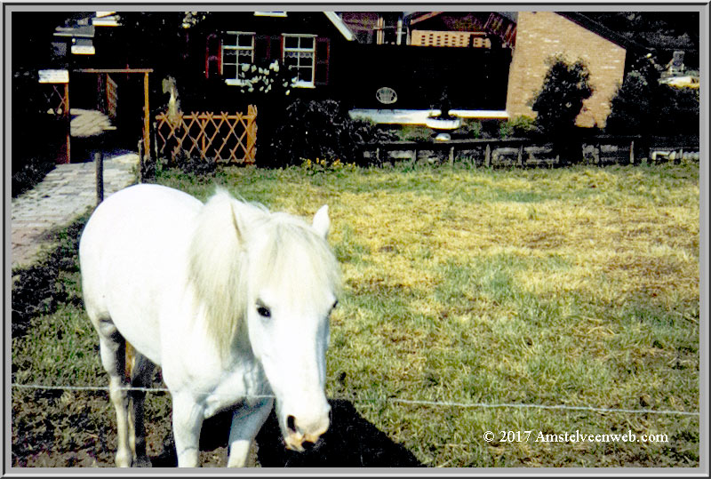 Kostverlorenweg 12