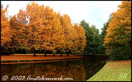 Herfstkleuren