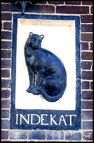 In De Kat