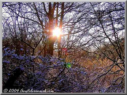 Winter in Amstelveen