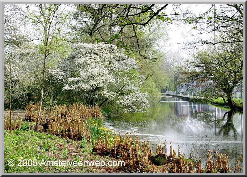 Wandeling in park