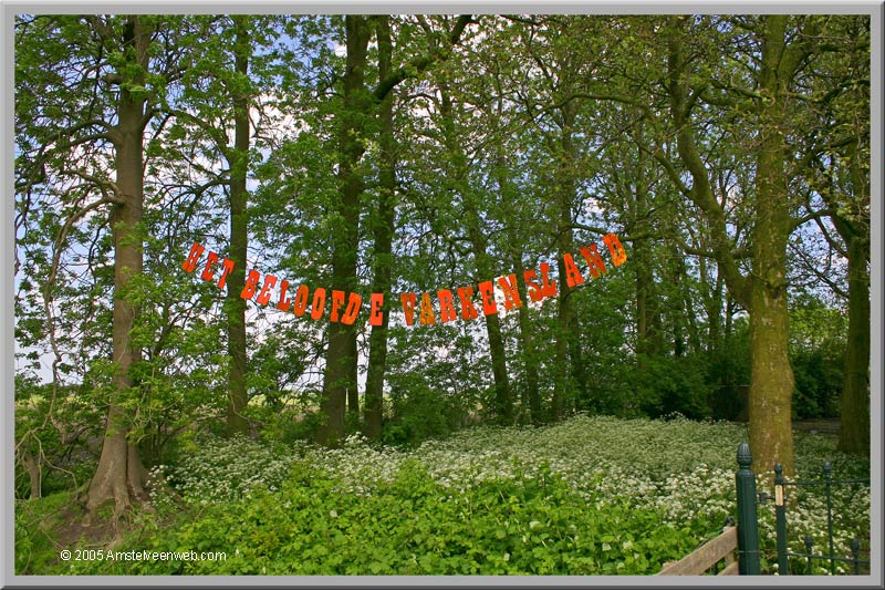 Het Beloofde Varkensland