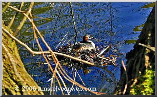 Foto Amstelveen