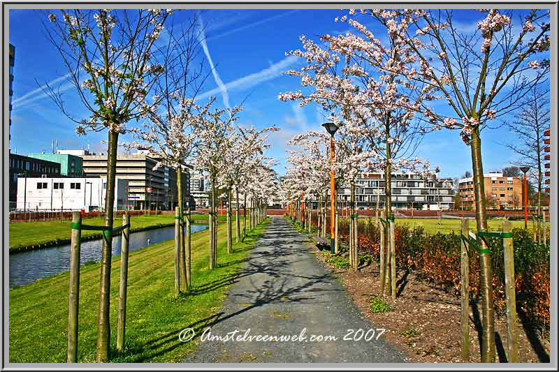 Sierkersen Stadspark