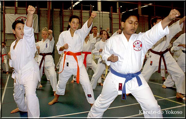 Karate do Yokoso