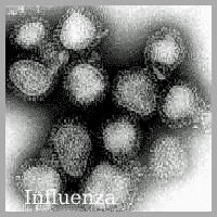 Influenza Amstelveen