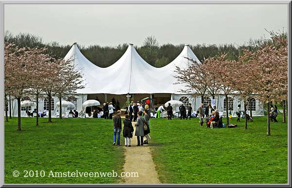 Kersenbloesem Amstelveen