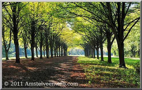 bos Amstelveen
