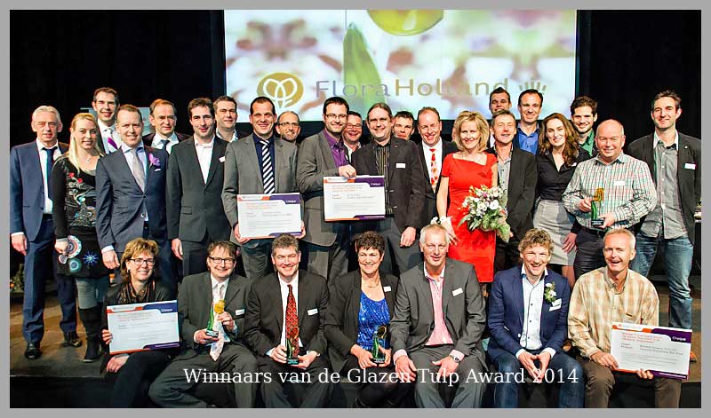 Glazen Tulp Award