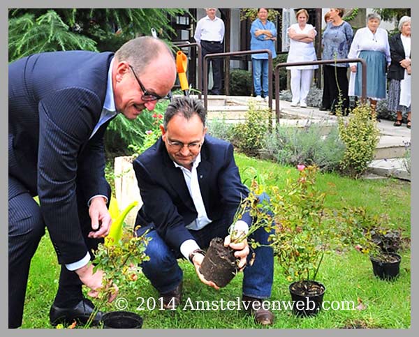 Amstelveen rozen voor het 'P&aacute;l  Harrer Ouderenhuis