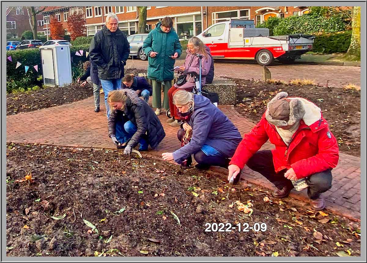 Ecologische Buurttuin