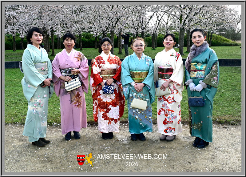 Kersenbloesem ophaar retour