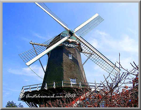 Jonge Dikkert Amstelveen