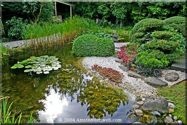 Japanse tuin Amstelveenweb