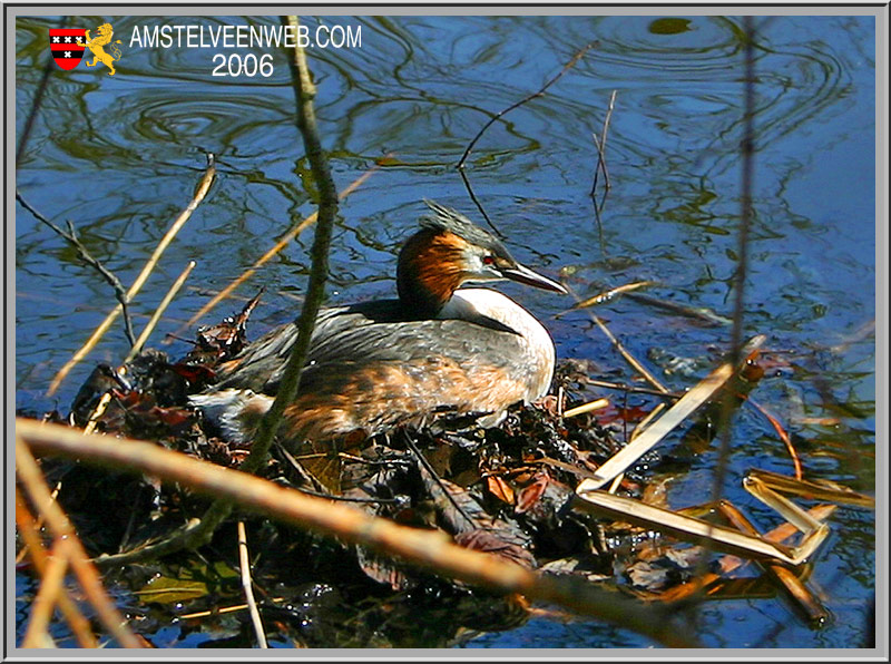 Landwehrpark Amstelveen