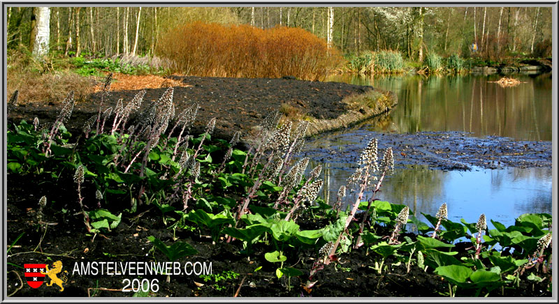 Landwehrpark Amstelveen