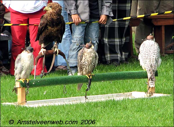 Roofvogelshow Amstelveen