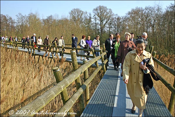 Cherry Blossom festival Amstelveen