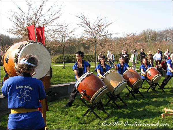 Cherry Blossom festival Amstelveen