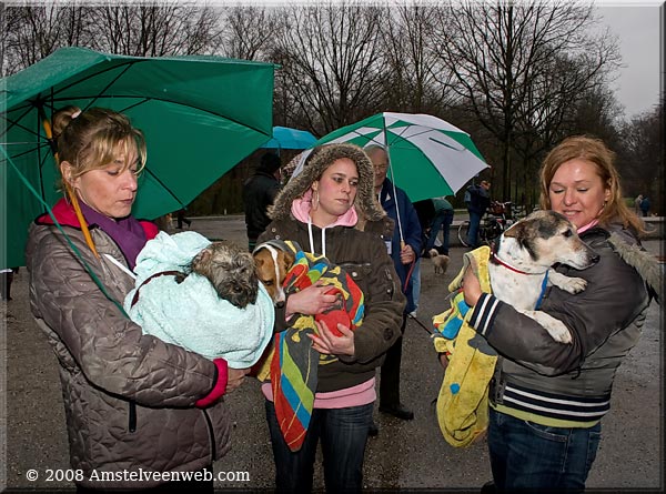 Date a dog Amstelveenweb