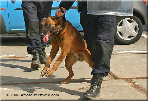 Brandweer Amstelveenweb