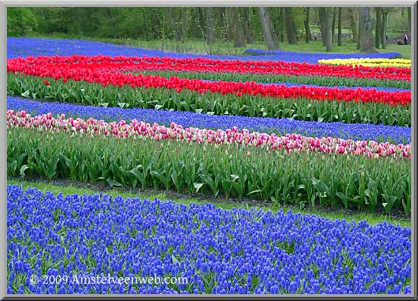 Keukenhof  Amstelveen