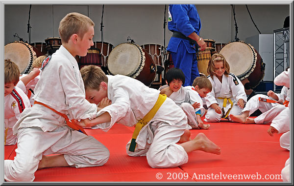 Japan feest Amstelveen