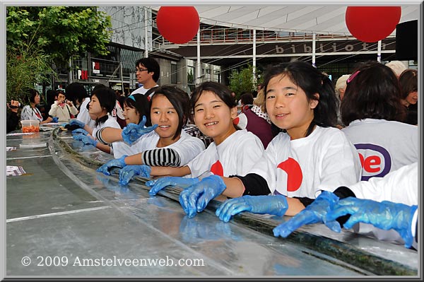 Japan feest Amstelveen