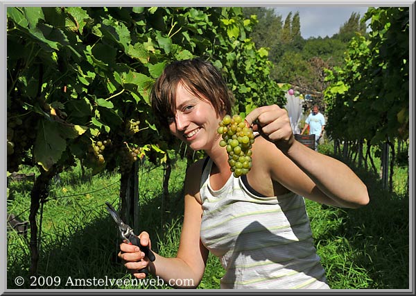 Amsteltuin Amstelveen