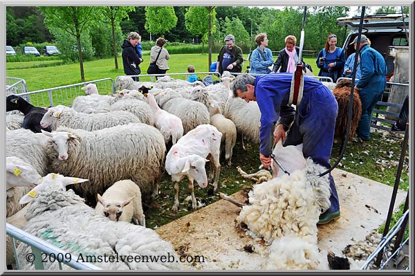 Schinkelbos Amstelveen