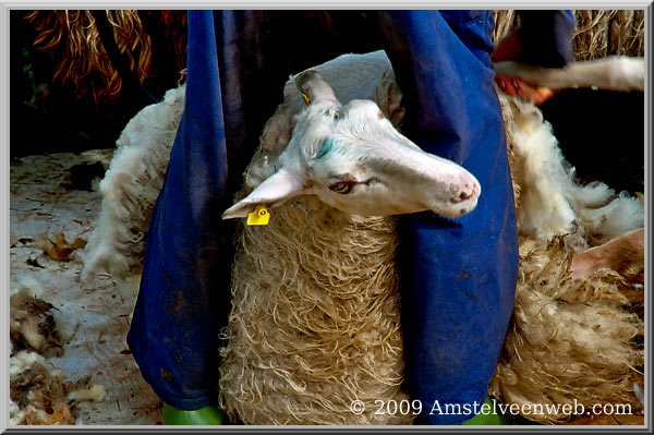 Schinkelbos Amstelveen