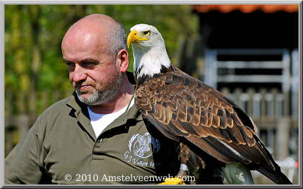 Elsenhove roofvogel Amstelveen