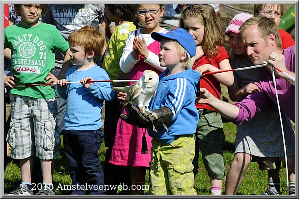 Elsenhove roofvogel Amstelveen