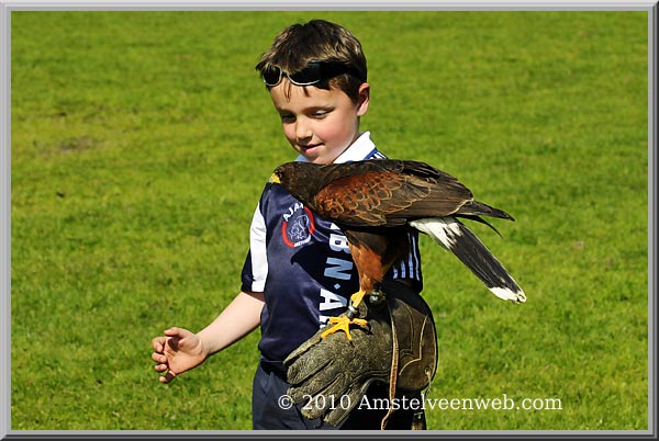 Elsenhove roofvogel Amstelveen