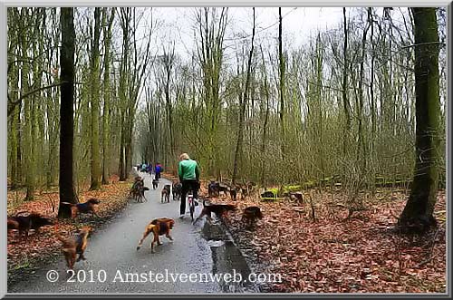 honden Amstelveen