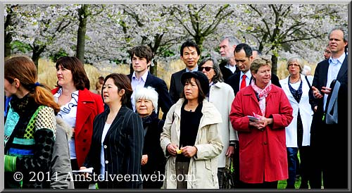 Cherry Blossom Amstelveen