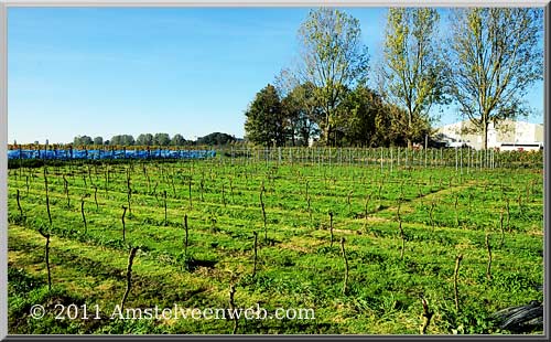 amsteltuin Amstelveen