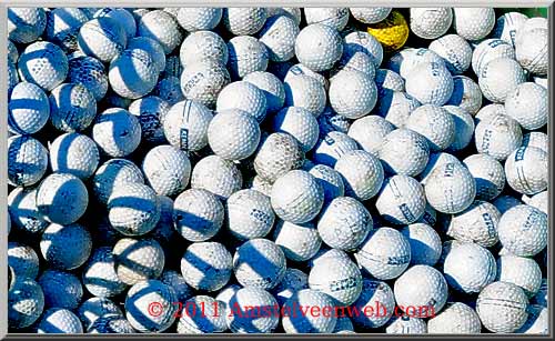 golfballen Amstelveen