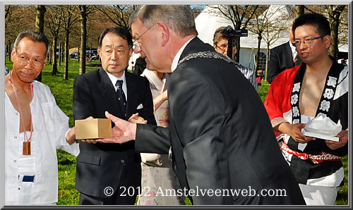 cherryblossom Amstelveen