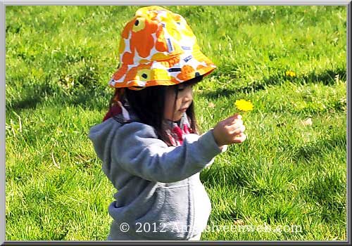 cherryblossom Amstelveen