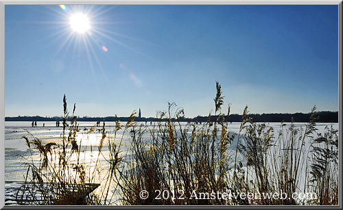 poel  Amstelveen