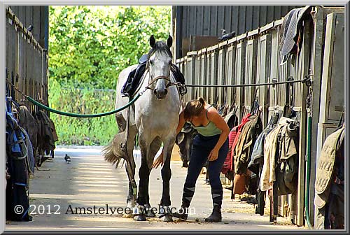 zeinstra Amstelveen