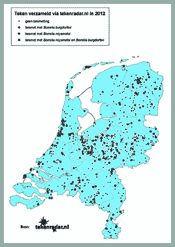 teek Amstelveen