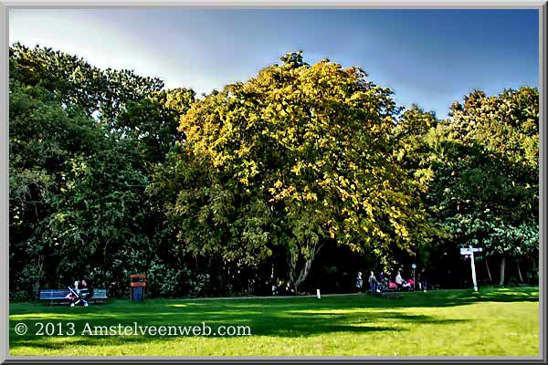 kastanje Amstelveen