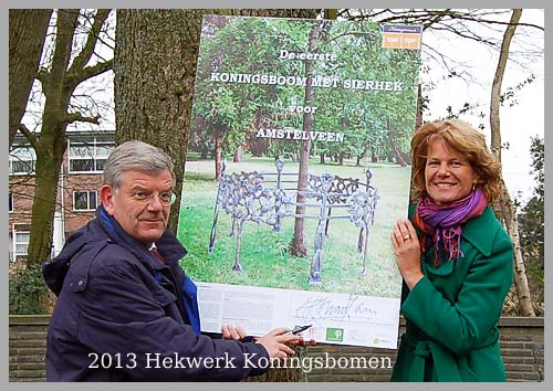 koningsboom Amstelveen