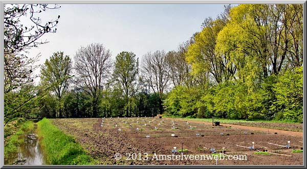 schooltuin Amstelveen