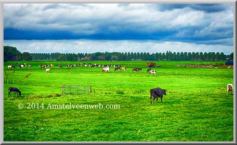 Foto Amstelveen