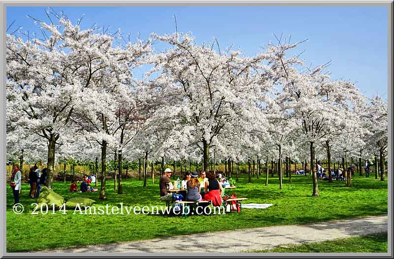 Foto Amstelveen